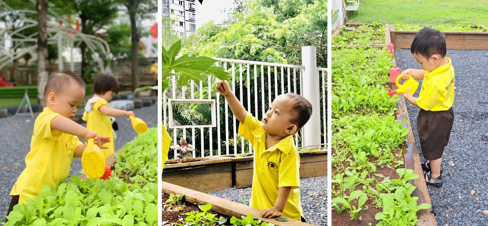 Lợi ích tuyệt vời khi dạy trẻ trồng cây xanh | Tiny Flower Montessori