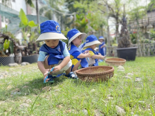 Outdoor Activity - Caring For Grass For Young Children