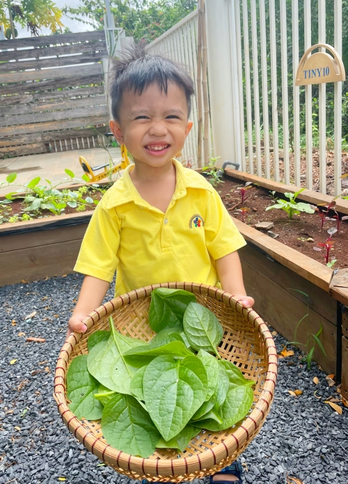 Lợi ích tuyệt vời khi dạy trẻ trồng cây xanh