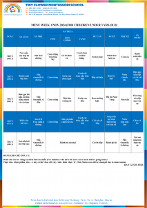 THỰC ĐƠN THÁNG 11/2024 NĂM HỌC 2024-2025