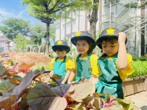 Rộn ràng ngày thu hoạch “Vườn rau của bé” tại Tiny Flower Montessori